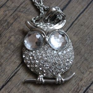Forever 21 Owl Necklace
